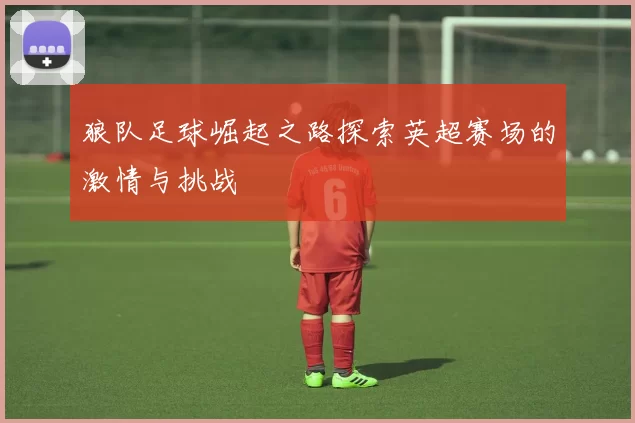 狼队足球崛起之路探索英超赛场的激情与挑战