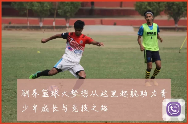 驯养篮球大梦想从这里起航助力青少年成长与竞技之路